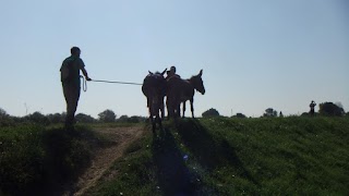 Montagne di legami, trekking Pisa, Lucca, Livorno, itinerari a piedi in Toscana ed Emilia Romagna