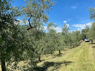 OLIVETO POETICO, AZ. AGR. RIBOLA MAURIZIO