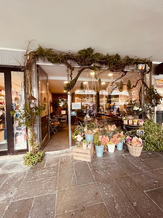 Frida's Rovigo | Italian Flower Stores