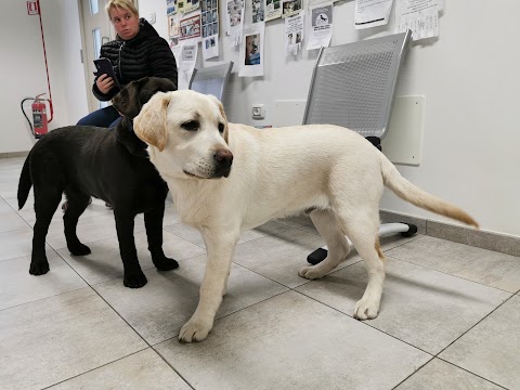 Ambulatorio Veterinario Truzzi Dr. Claudio