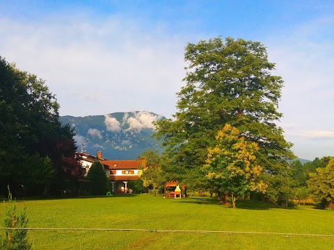 Prenočišča Leban - TEA LEBAN - SOBODAJALKA