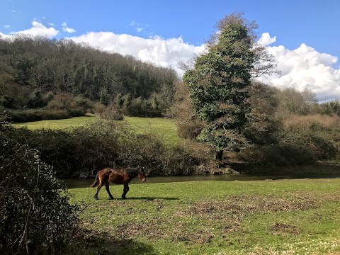 Sentiero CAI 207g - Parco di Veio