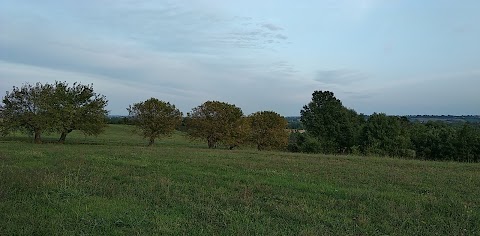 I Boschi di Fornio - Un Piccolo Rifugio di Campagna dove vivere Emozioni