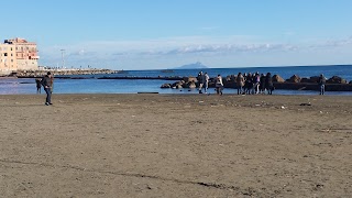 Cooperativa Armatori E Pescatori La Concordia