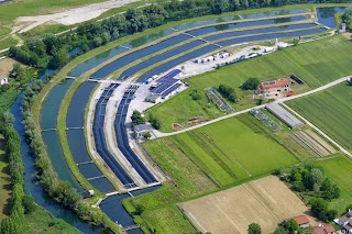 Pit Produttori Ittici Trevigiani Società Agricola Consortile