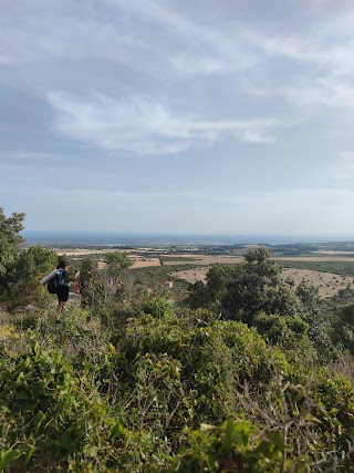 Bosco Sant'Antuono