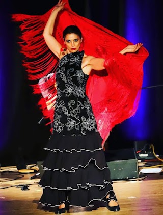 A.S.D. Viento Flamenco (sede di Monfalcone)