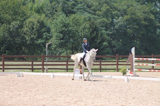 GIR - Centro Sport Equestre Pinerolo