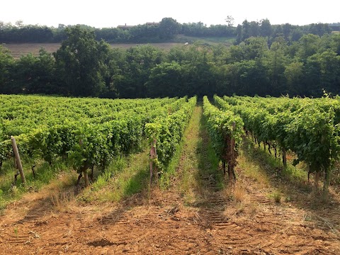 Azienda Agricola La Ciocca