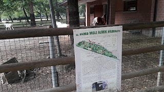 Parco degli Alberi Narranti®️