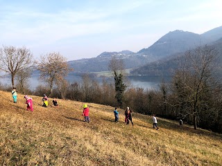 Educare nel Bosco Fimon