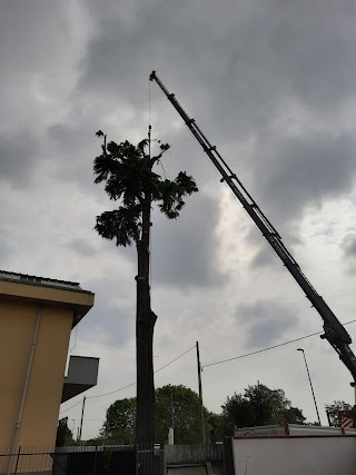 Di Napoli Giuseppe materiali edili