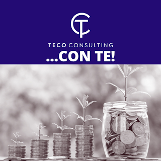 Teco Consulting Srl