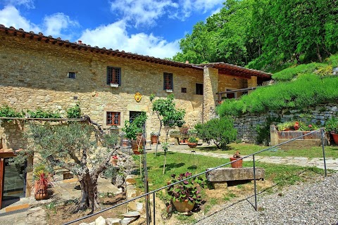 Villa Tenuta Lonciano