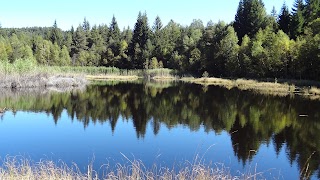 Parco Naturale Monte Corno