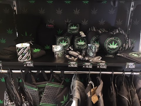 Cannabis Store Amsterdam Vicenza