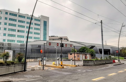 Azienda Ospedaliero - Universitaria di Parma