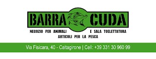 Barracuda Store Caltagirone