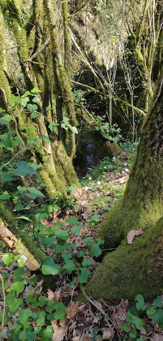 Parco Di Sant'Andrea