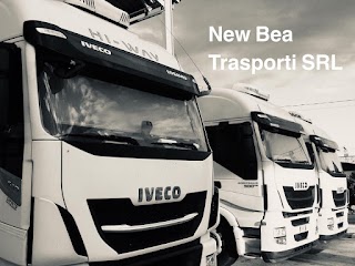 New Bea Trasporti