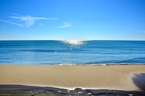 Il Delfino Metaponto