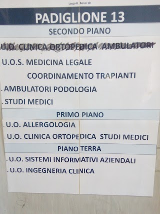 Padiglione 13