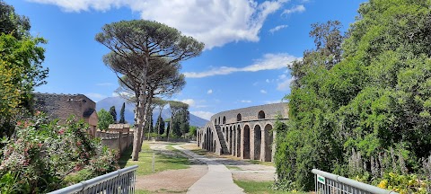 Alex Tour Pompeii