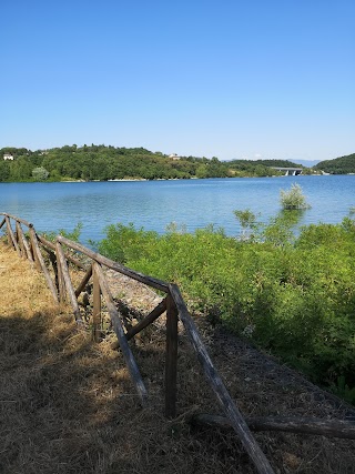 Bosco del Turlaccio