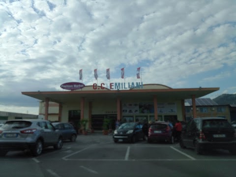 Centro Commerciale Emiliani S.A.S