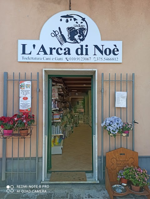 L' Arca Di Noè