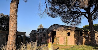 Tenuta Tudini