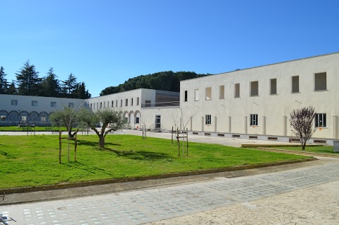 IIS A. Meucci - plesso di via San Vincenzo, Bassano Romano