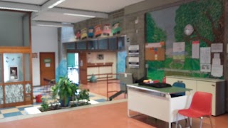 Scuola "Carlo Collodi"