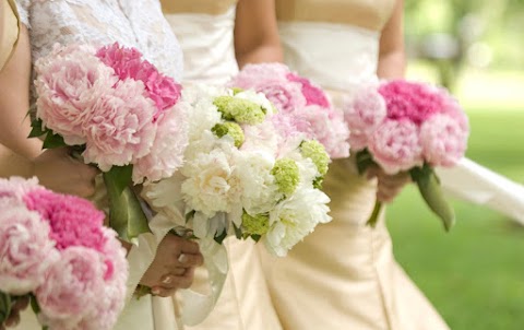 L' Angolo dei Fiori di Isabella Annibali