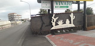 Vivai Etna Verde