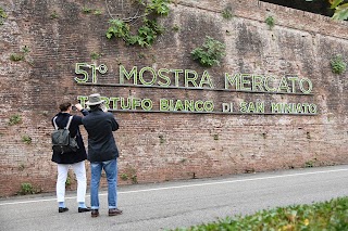 Fondazione San Miniato Promozione