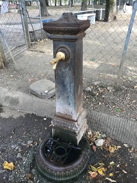 Public Water Fountain