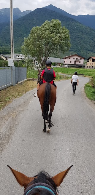 ASD Centro ippico Valtellina Horses