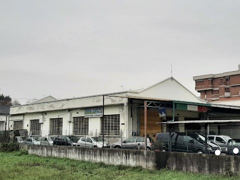 Nuovo Garage Italia