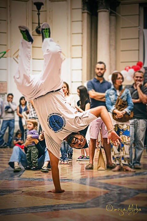 Capoeira Pavia Vigevano