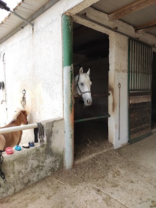 Centro Equestro Castelvetrano