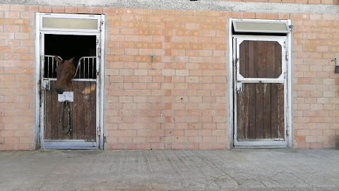 Bologna equestrian center