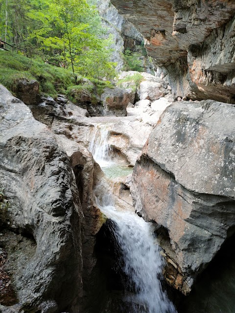 Parco Nazionale delle Dolomiti Bellunesi