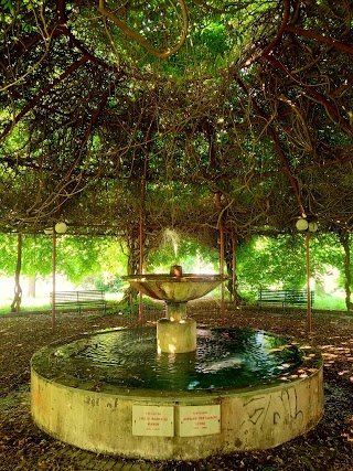 Parco Della Maggiolina Area Giochi E Palestra