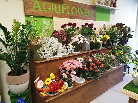 AgriFlowers - Fiori e Piante