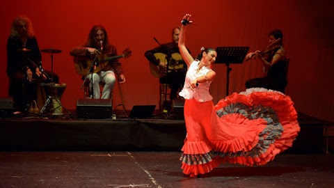 A.S.D. Viento Flamenco (Sede di Trieste)