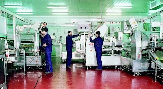 Impresa di Pulizie Semper srl Pulizia Industriale Impianti Alimentari Ospedali