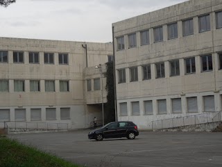 Istituto Tecnico Statale "Marchi-Forti"