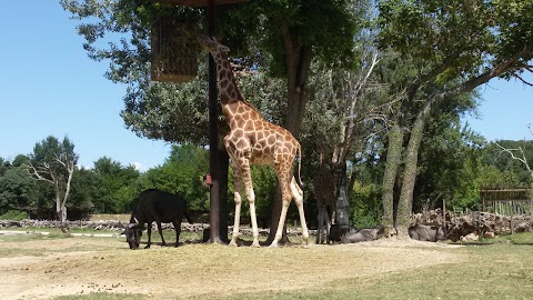 Parco Zoo Natura Viva A