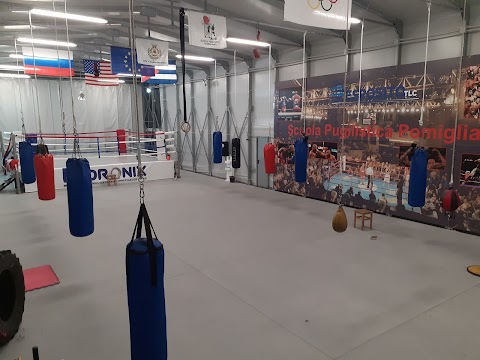 ASD Scuola Pugilistica Pomigliano, Pugilato, Boxe per bambini e adulti